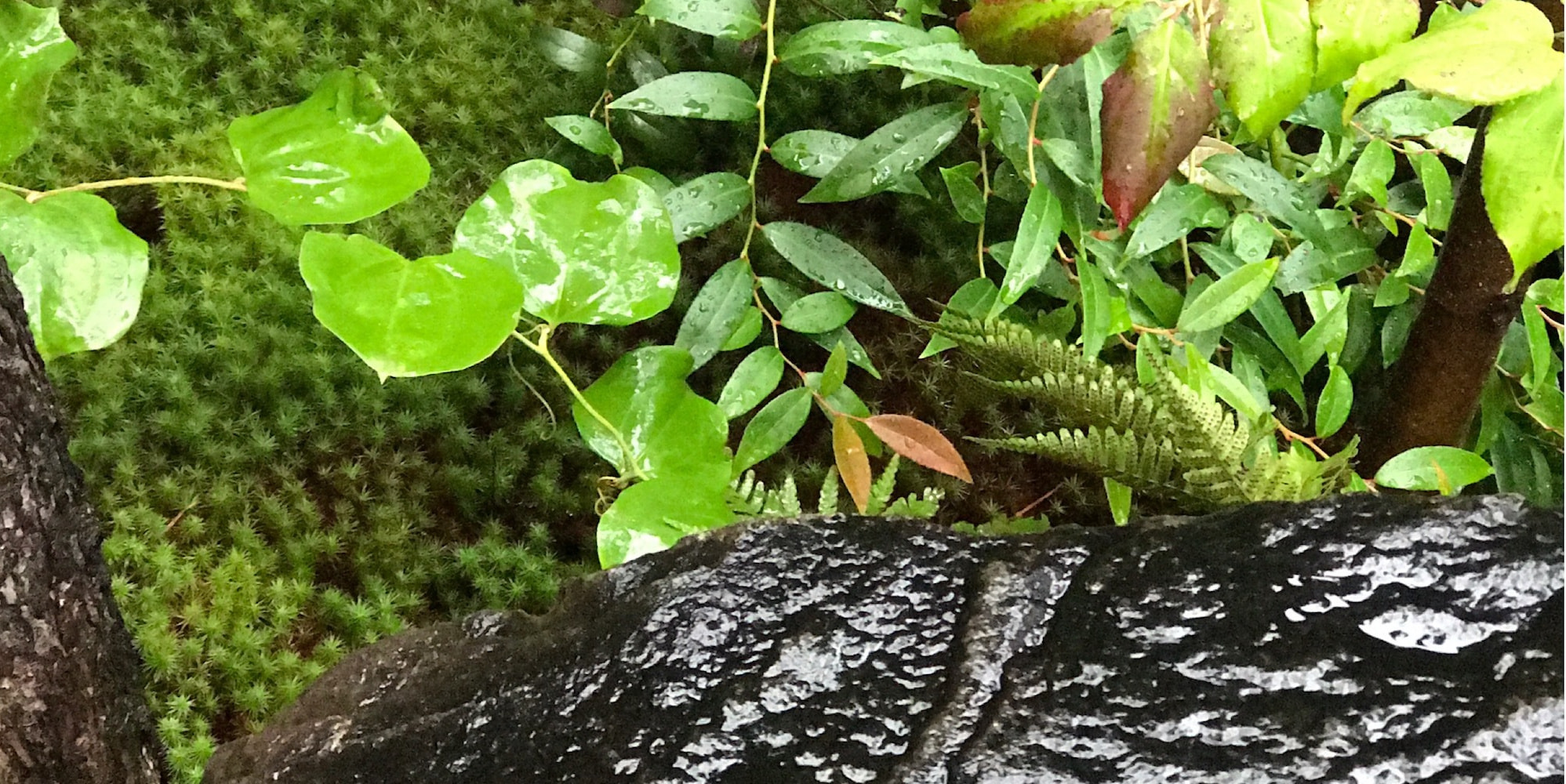 ご予約・お問い合わせ