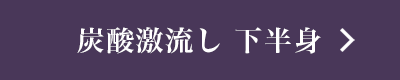 炭酸激流し 下半身
